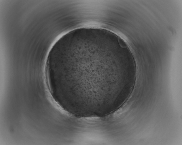 X0000111370864200907101210