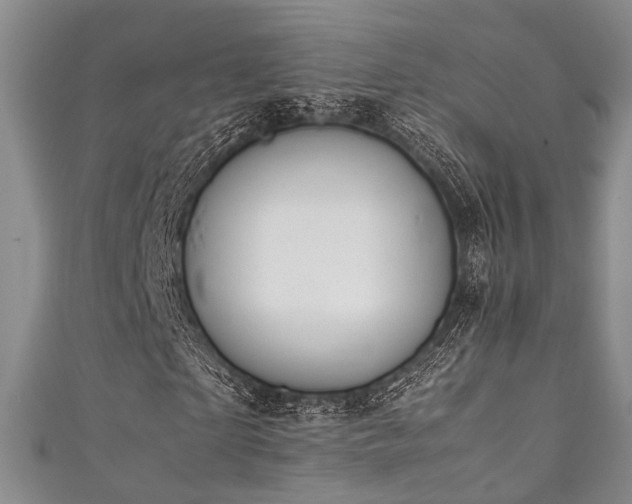 X0000111370865200907101209