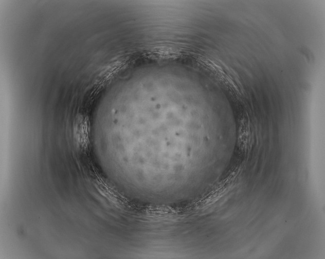 X0000111370866200907101209