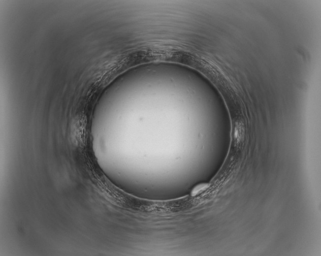 X0000111370867200907101209