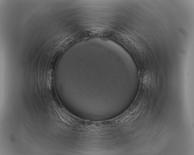 X0000111370868200907101209