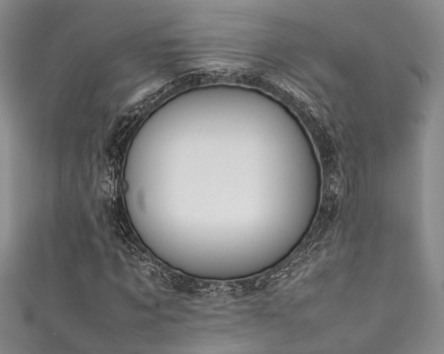 X0000111370869200907101209