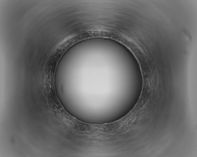 X0000111370870200907101209