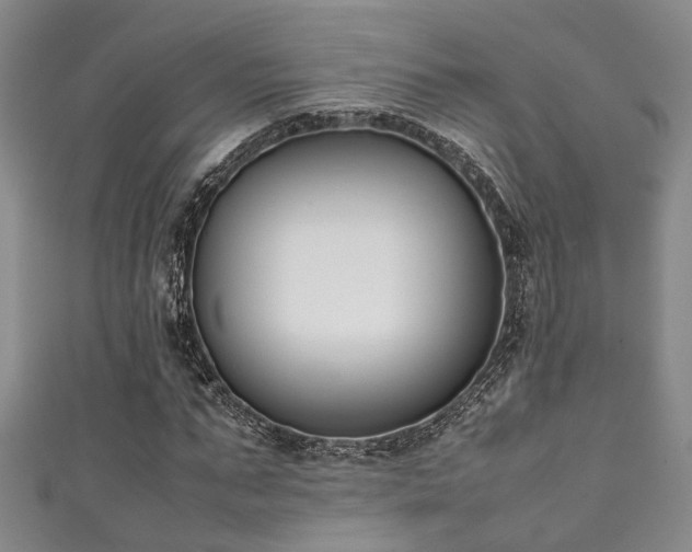X0000111370871200907101209