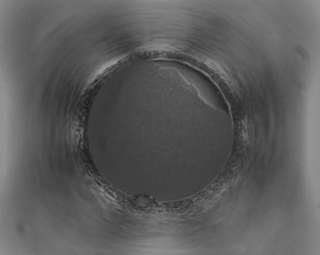 X0000111370872200907101209