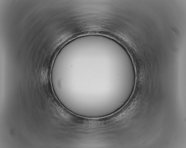 X0000111370873200907101209