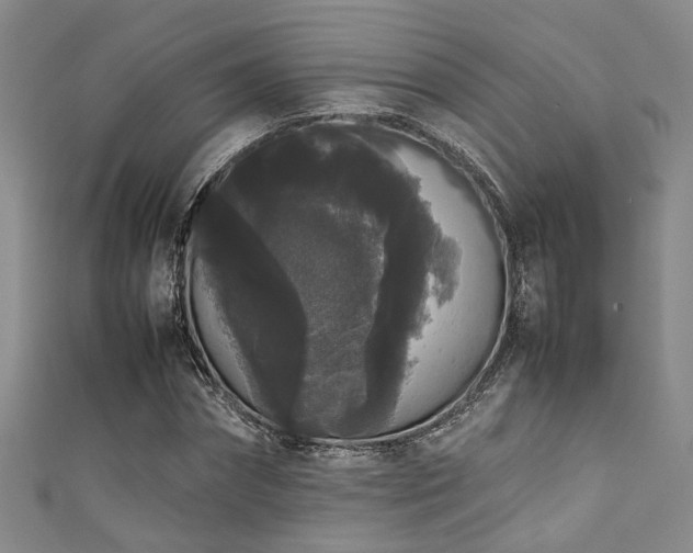 X0000111370874200907101209