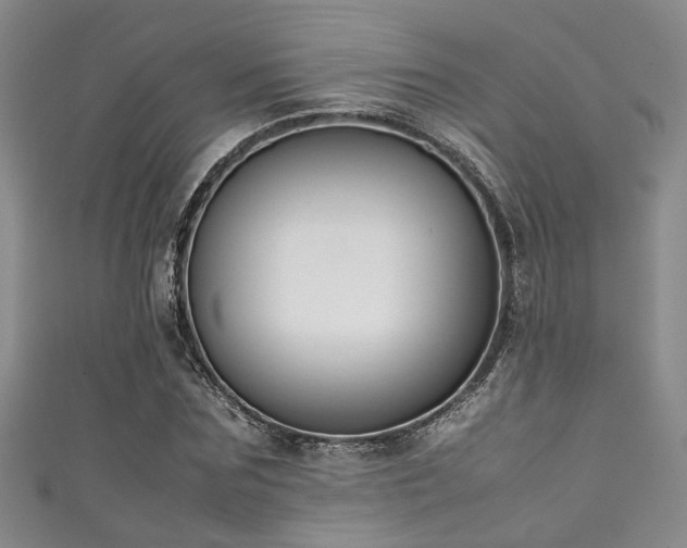 X0000111370875200907101209