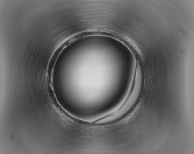 X0000111370876200907101209
