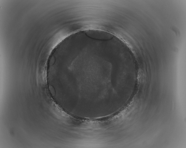 X0000111370877200907101209