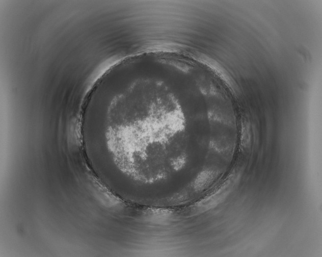 X0000111370878200907101209