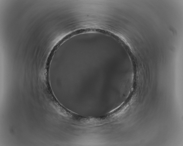 X0000111370879200907101209