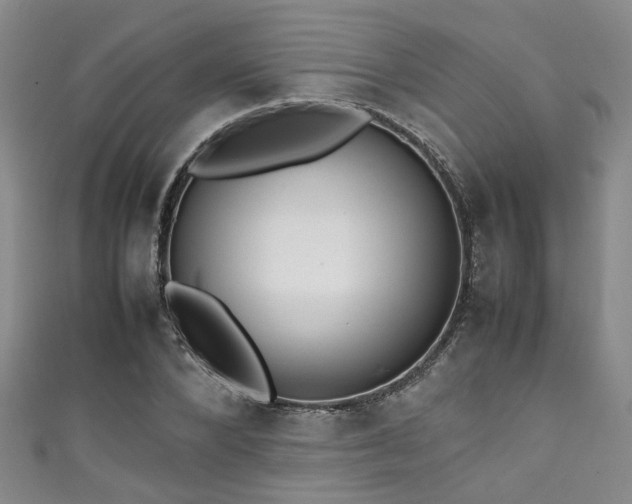 X0000111370880200907101209