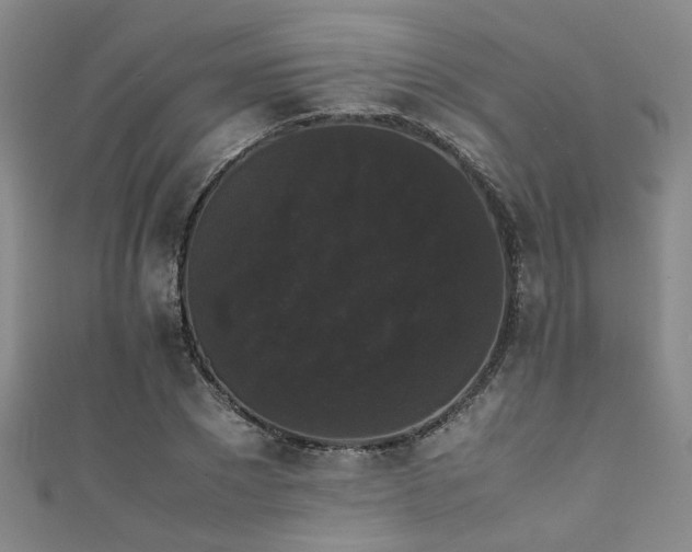 X0000111370881200907101209