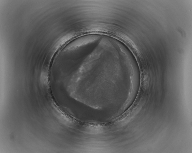 X0000111370882200907101209