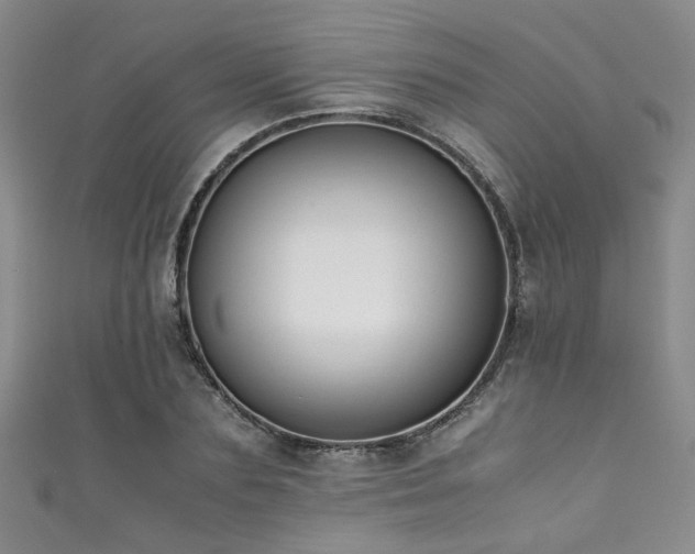 X0000111370883200907101209
