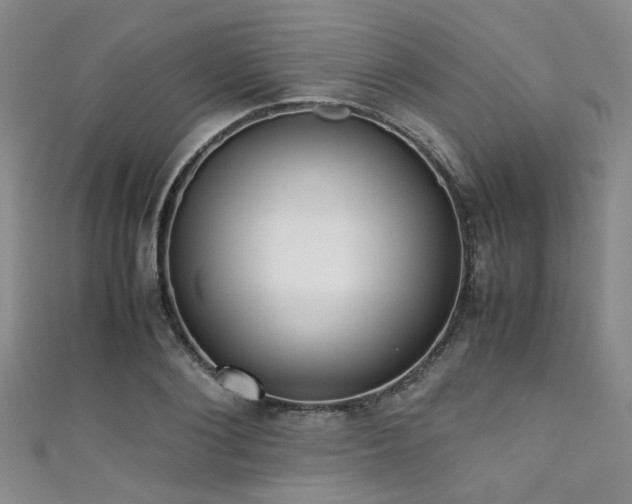 X0000111370884200907101209