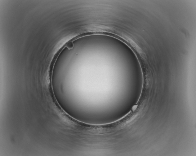 X0000111370885200907101209