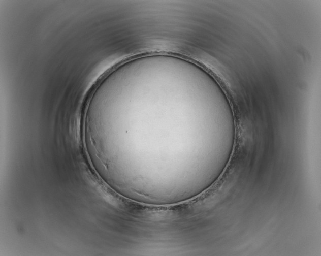 X0000111370886200907101209