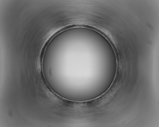 X0000111370887200907101209