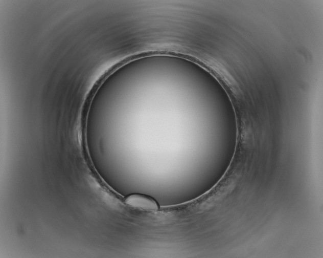 X0000111370888200907101209