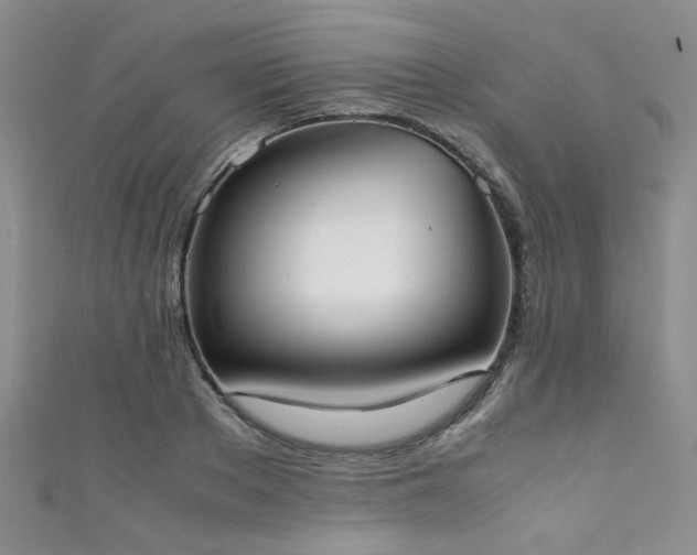 X0000111370889200907101209