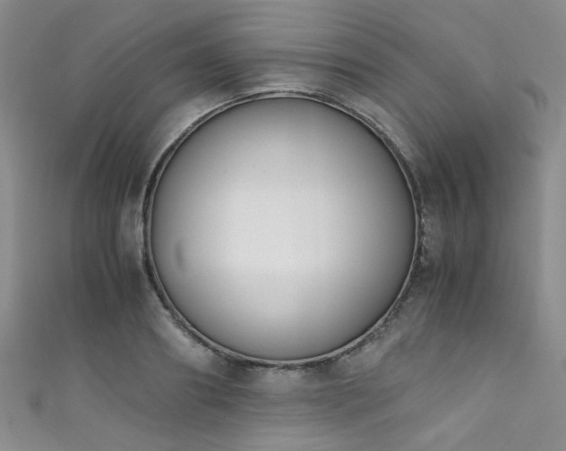 X0000111370890200907101209