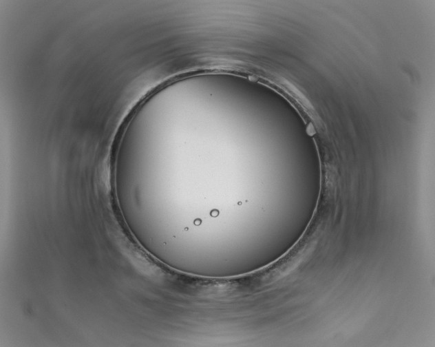 X0000111370891200907101209