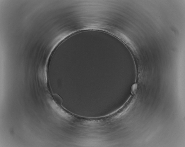 X0000111370892200907101209