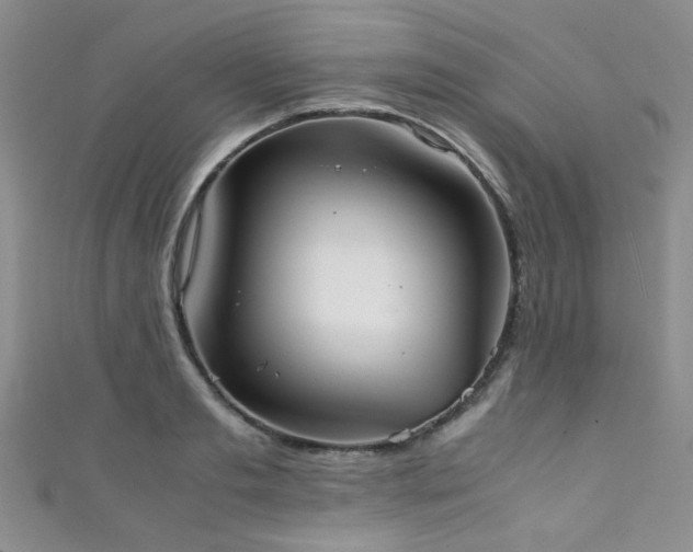 X0000111370893200907101209