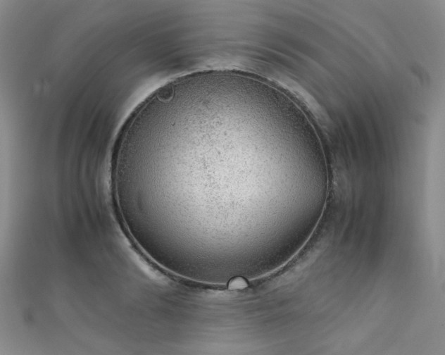 X0000111370894200907101209