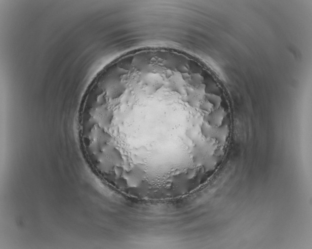 X0000111370895200907101209