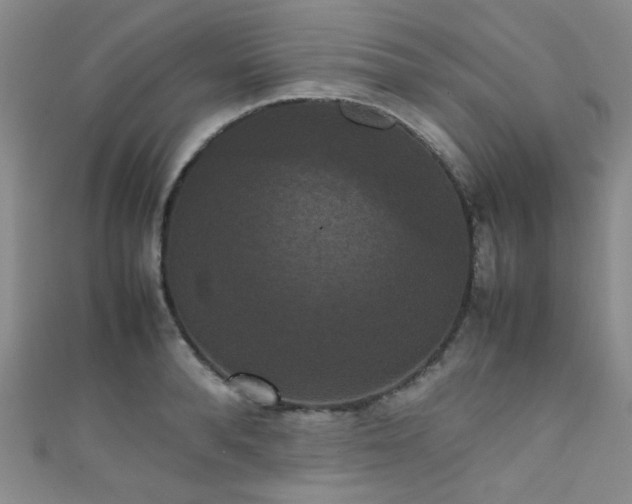 X0000111370896200907101209