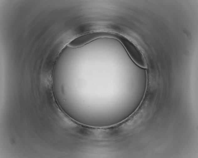 X0000111370897200907101209