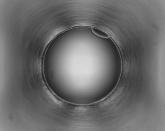 X0000111370898200907101209
