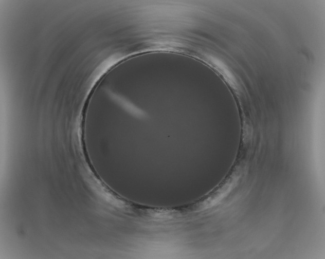 X0000111370899200907101209