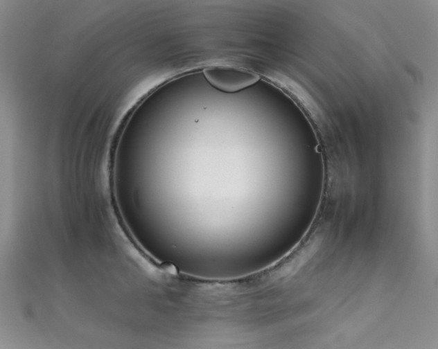 X0000111370902200907101209