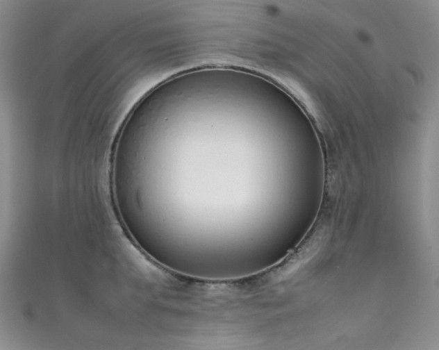 X0000111370903200907101209