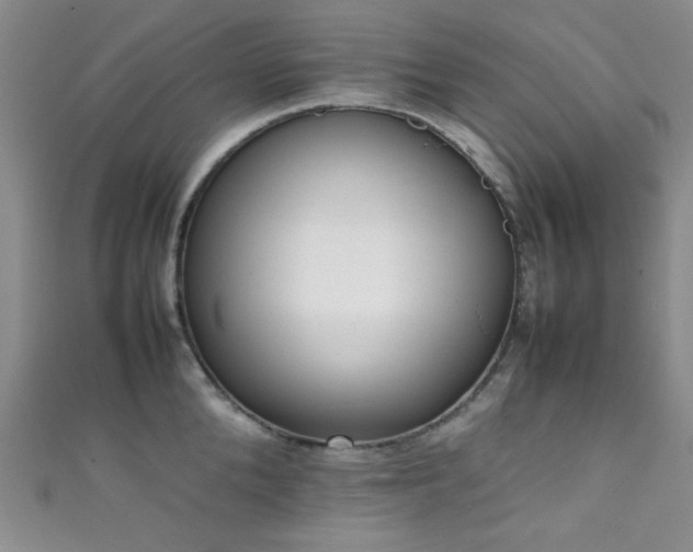 X0000111370904200907101209