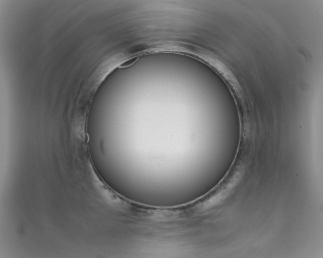 X0000111370905200907101209