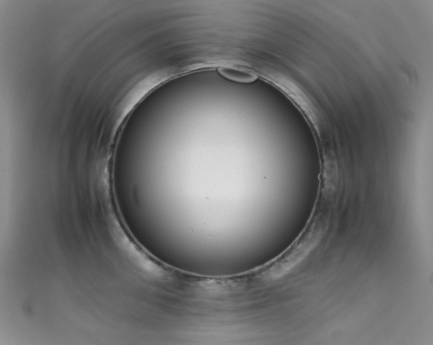 X0000111370906200907101209