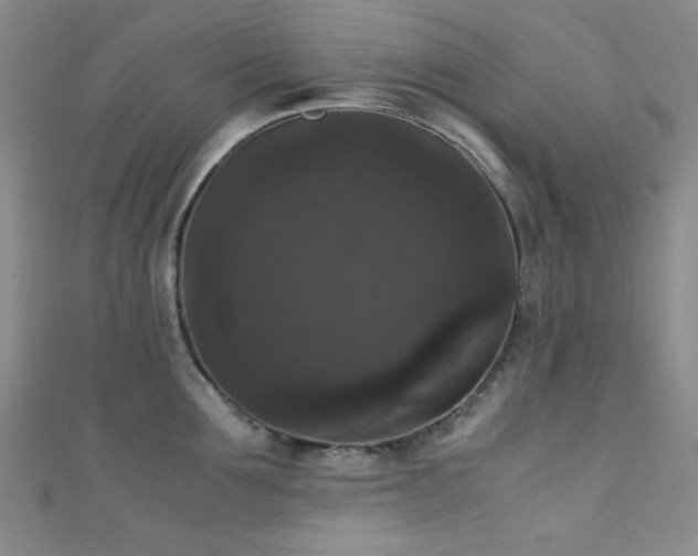 X0000111370907200907101209