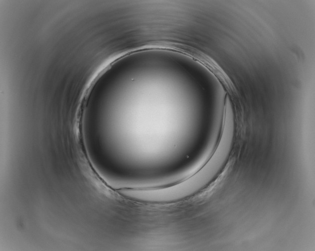 X0000111370908200907101209