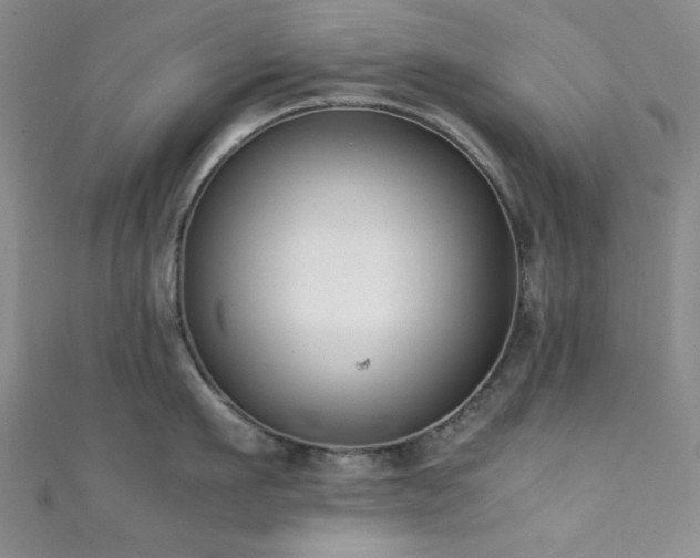 X0000111370911200907101209