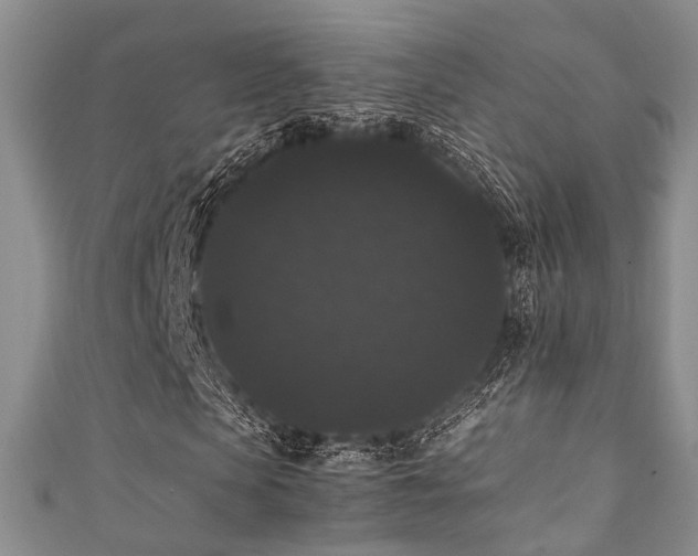 X0000111370913200907101208
