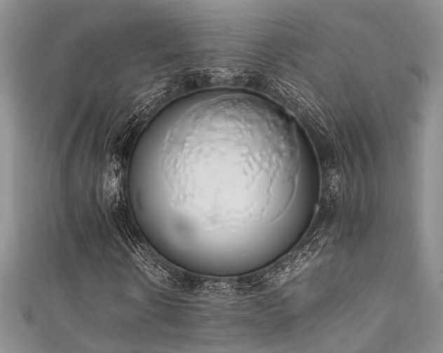 X0000111370914200907101208