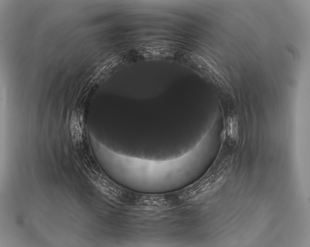 X0000111370915200907101208