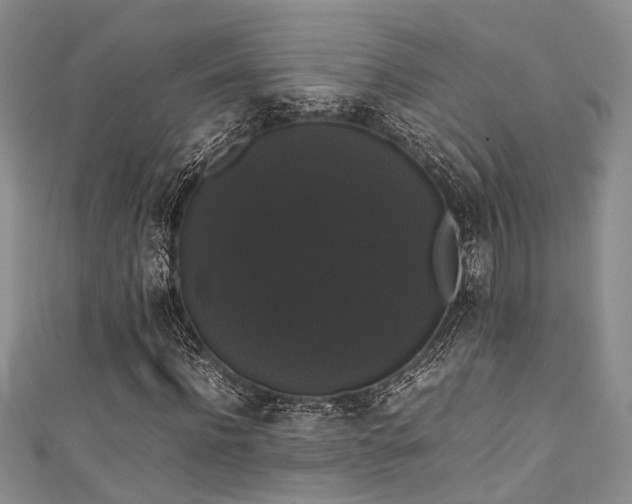 X0000111370916200907101208