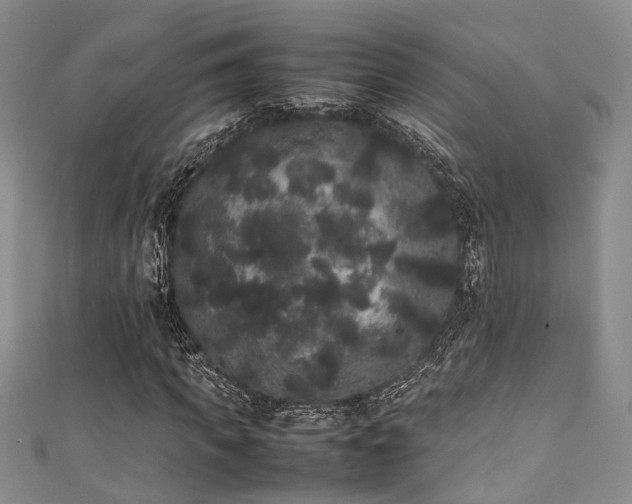 X0000111370917200907101208