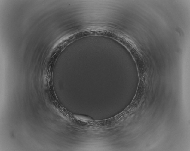 X0000111370920200907101208